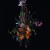 Big | Brave: Nature Morte LP